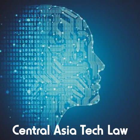 AI and Technology Law Firm (Central Asia)